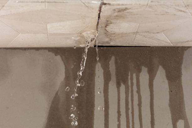 Professional Burst Pipe Cleanup technician working in Florence, NJ